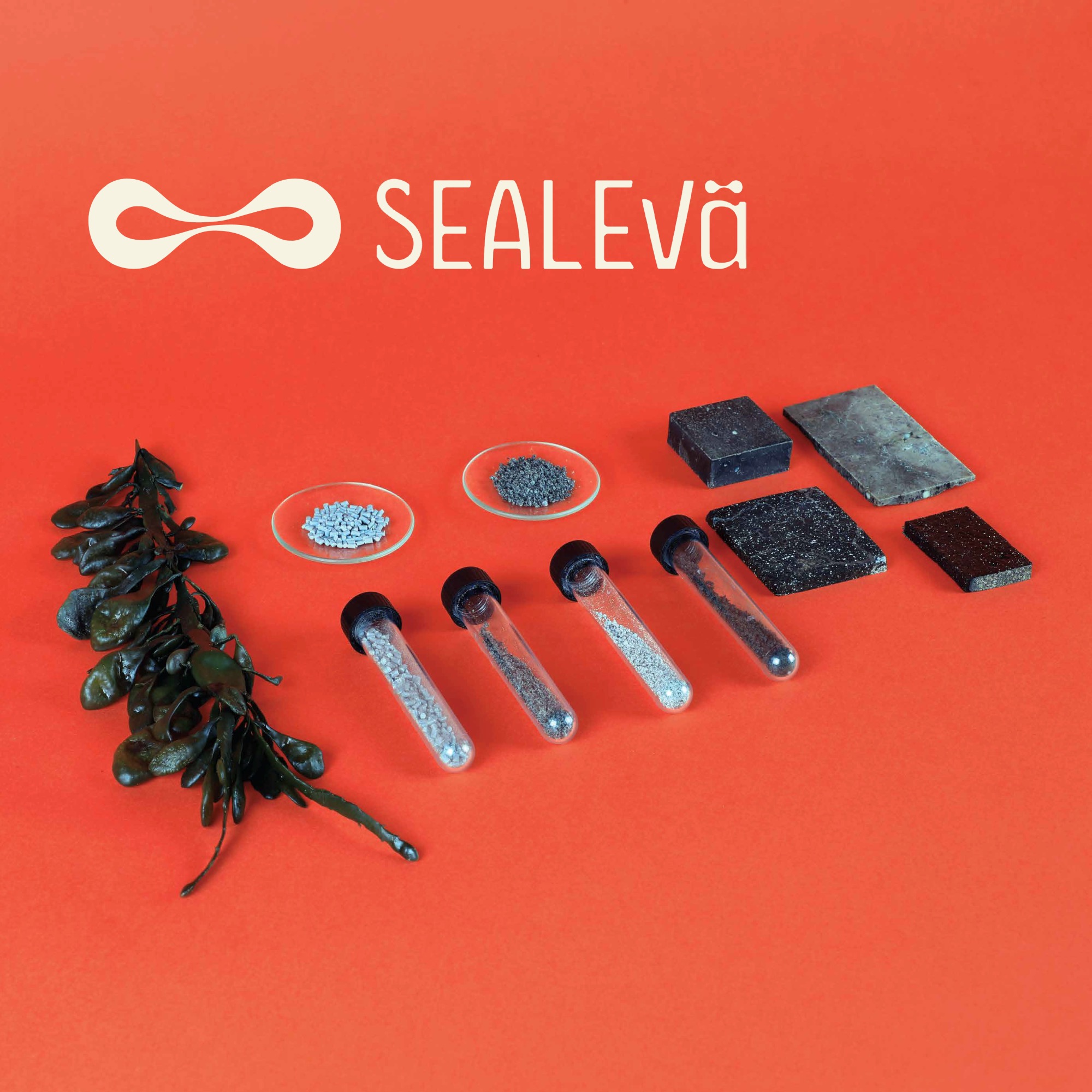 BrochurePicture_Sealeva_s.jpg
